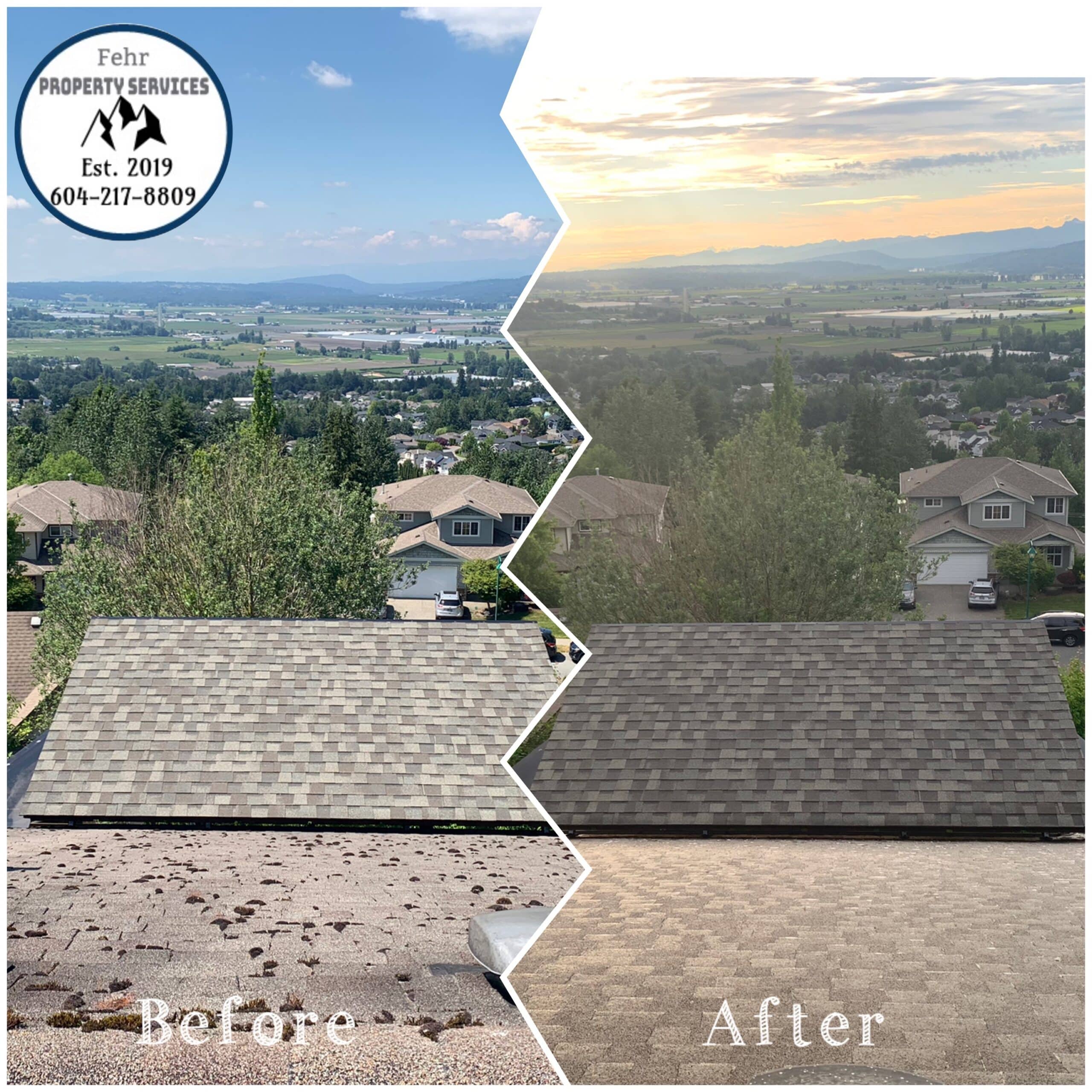 Roof Cleaning and Moss Removal